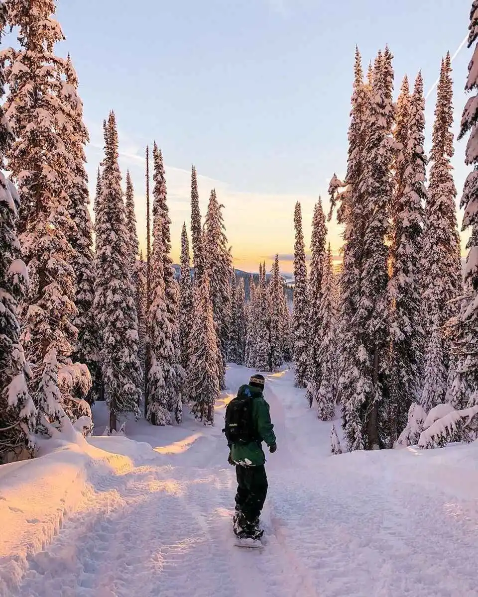 Snow-covered landscape in Gulmarg during peak winter season